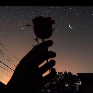 Meet your Posher, Dayana